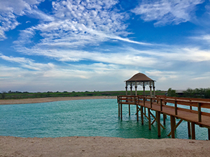 Sodium Bentonite Pond Seal Distributor in Texas