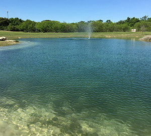 Sodium Bentonite Supplier for Pond Seal