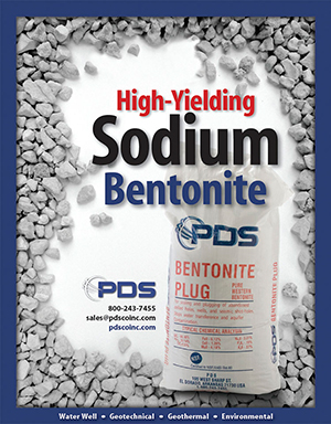 Sodium Bentonite Chips Supplier